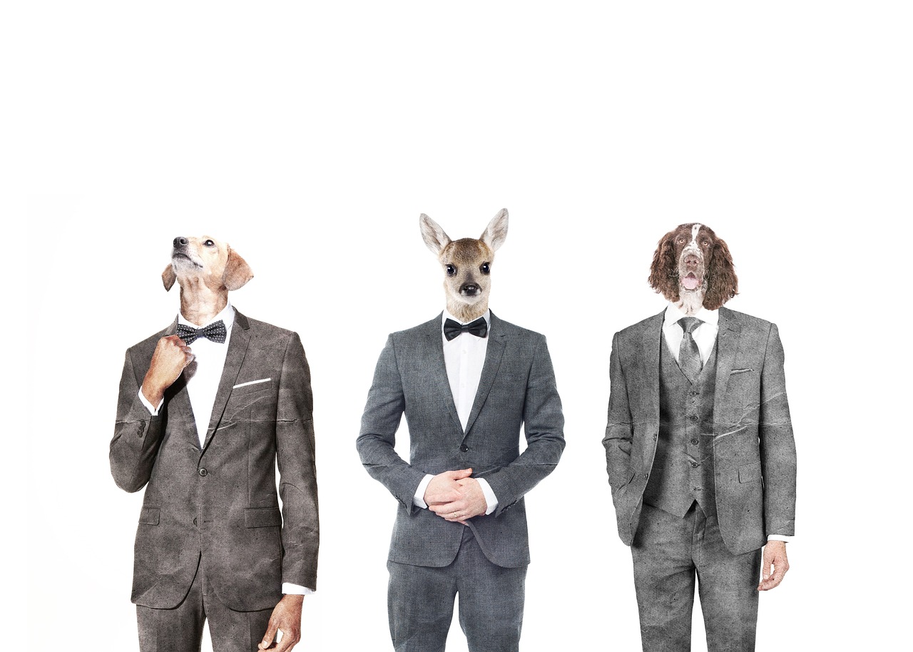 RadioPeng broadcast banner